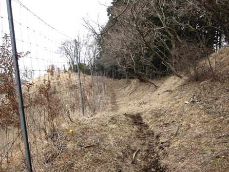 20190214hike (62)